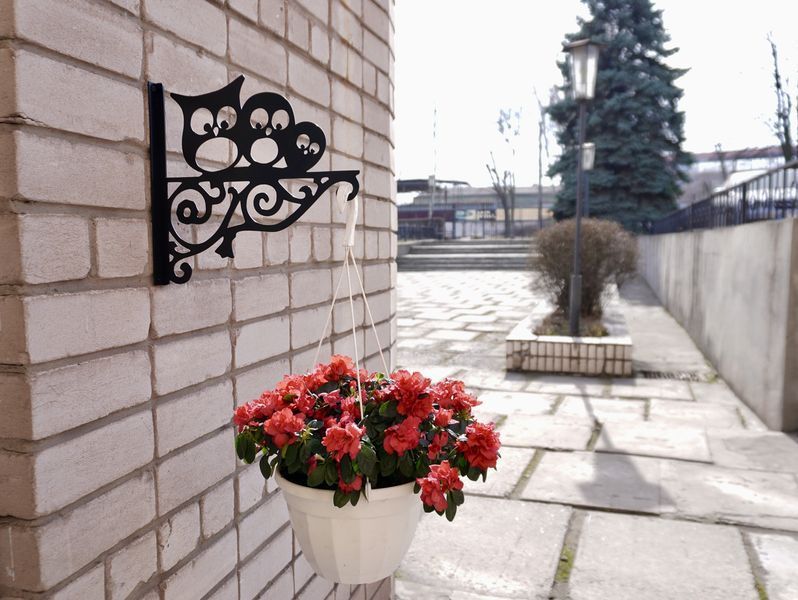 Кронштейн Совушки, кріплення для кашпо з квітами, настінний тримач горщиків, метал, чорний Б020 фото