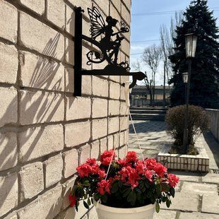 Кронштейн Фея з жучком, кріплення для кашпо з квітами, настінний тримач горщиків, метал, чорний Б004 фото