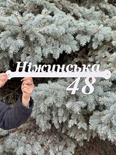 Адресная табличка 60, табличка с названием улицы 50 см 2964529691 фото